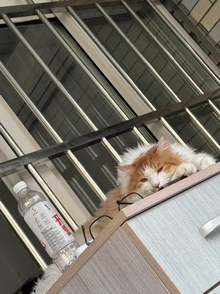 NBZzz0v0's tweet photo. 好爱我的小宝宝 https://t.co/5NCirKcM2B