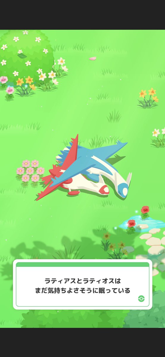 knetipstm126's tweet photo. #ポケスリ3周年をみんなで
ラティ兄妹すこ https://t.co/sYN7g8W8xT