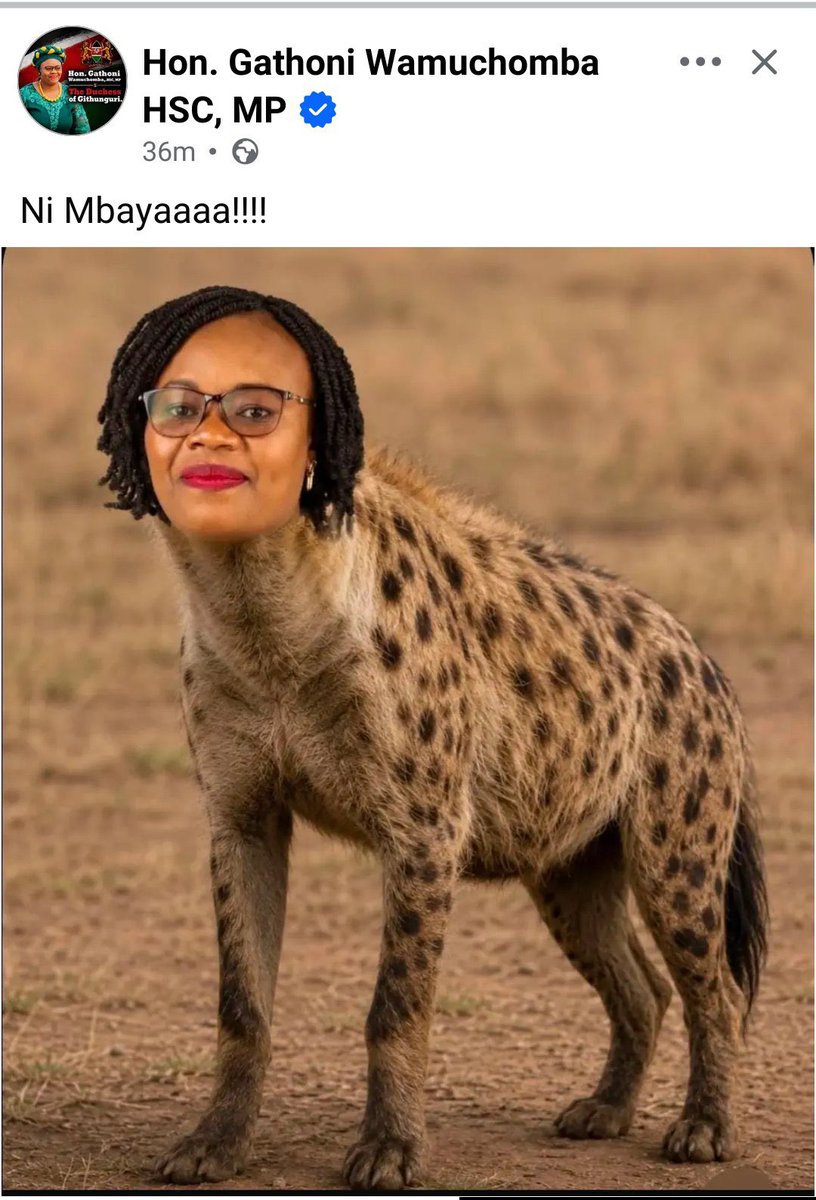 Wanjiru2027's tweet photo. She is not one of us,this woman allowed githunguri maumau land to be grabbed by sugoi man.

We need to be careful because such characters will come again pretending to be like us but they are just seeking political survival and reelection!!!

Do not forgive do not forget!!! https://t.co/n3TAc5m3rV