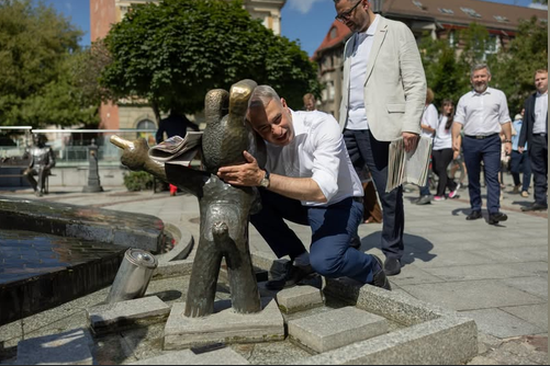 Mir_AS_'s tweet photo. Gawkowski dobiera się do Reksia. https://t.co/LKYALb1icC