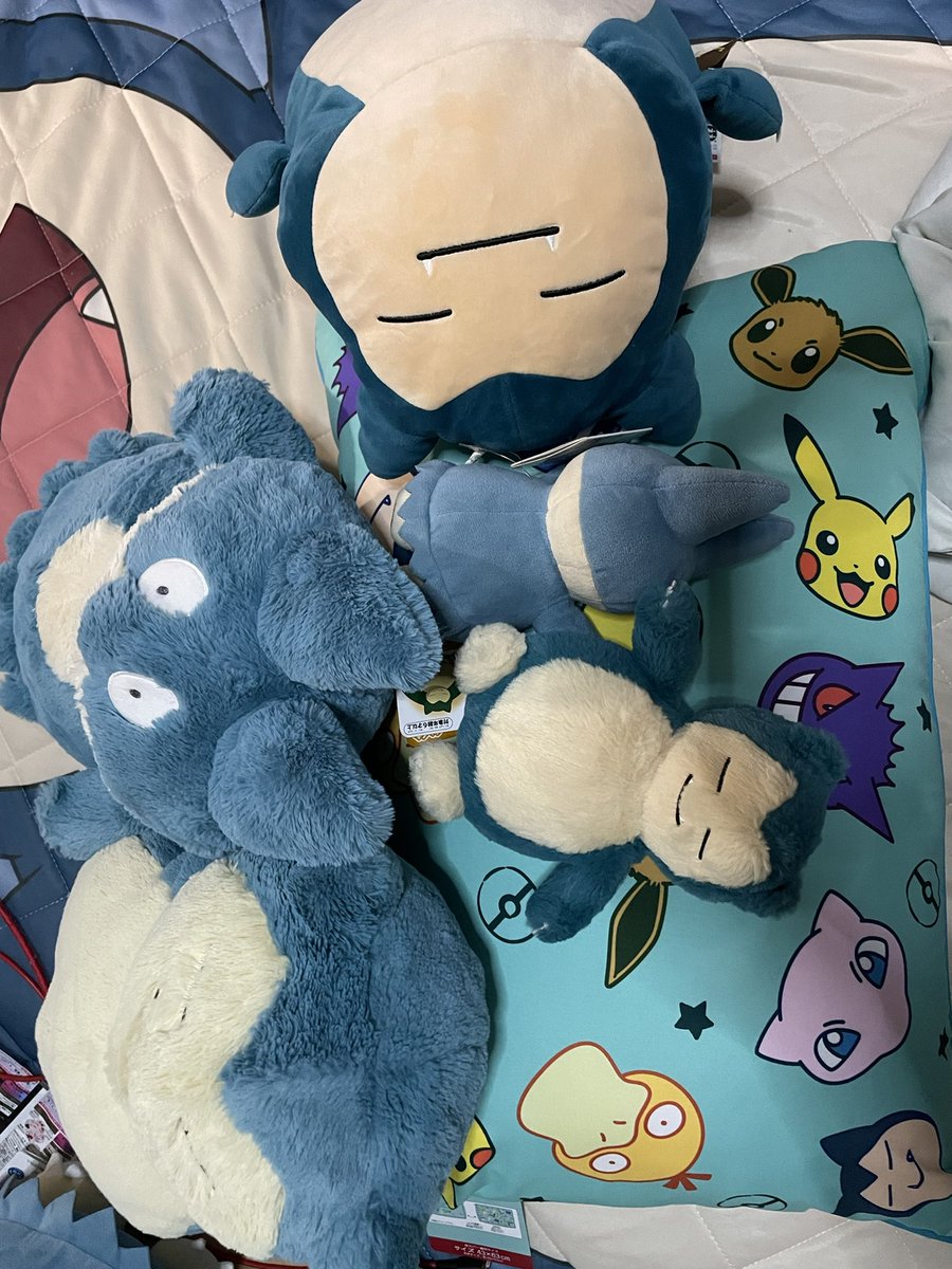 ami3956's tweet photo. こんにちは|･ω･)ﾉ
まーったりしています！
我が家のごんず達が
昨日私が購入した
枕を奪い取りにやってきますwww
最近は「もち」も「くたかびちゃん」
も本性が
しかも、しまむらで枕を購入して
帰ってきたら食べ物か⁉︎
と言わんばかりに
袋に集まっていたw
そして、3枚目は昨日のお風呂見守り隊 https://t.co/eNkDj52eMy