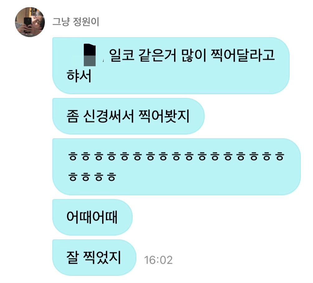 양배추 tweet media