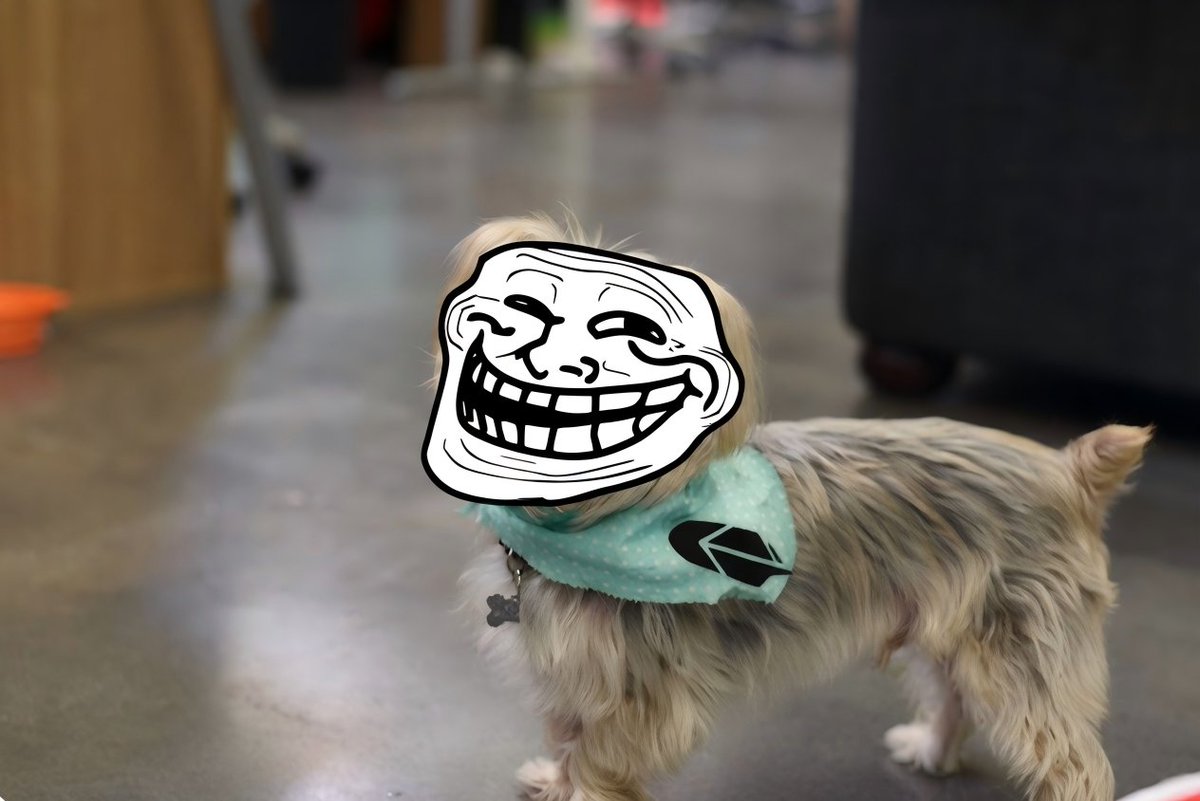 TROLLRH's tweet photo. When are you going to take me home and feed me that damn dog food?  @MEADGod https://t.co/dw3U2Nsadp