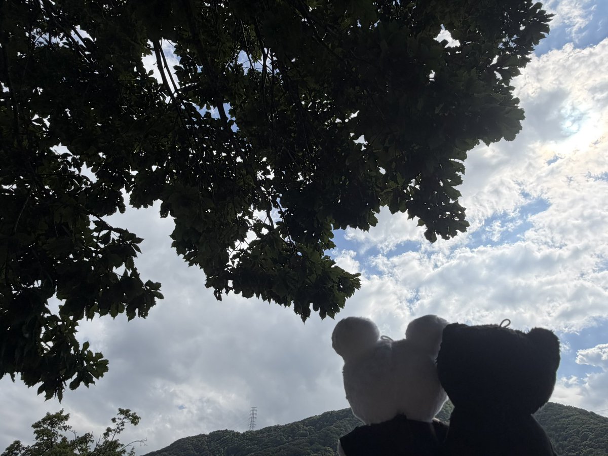 shiramas's tweet photo. 涼しくなってきたよ〜 https://t.co/eevxFXvSZy