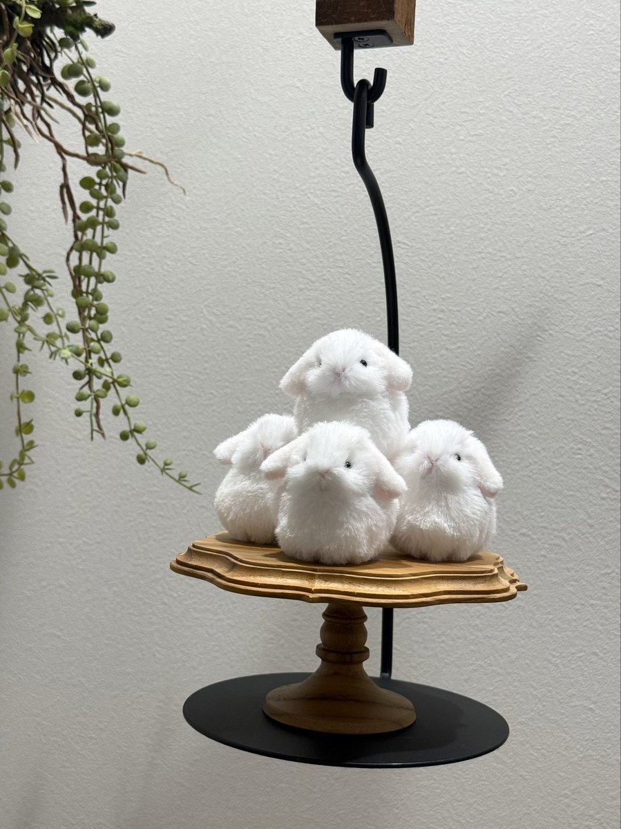 minneで受注生産分のおもちみたいなうさぎのロップイヤーが完成しました🐰