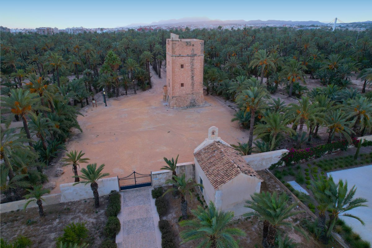 visitelche's tweet photo. ¿Quieres descubrir Elche desde una perspectiva única? 🌴✨
El Palmeral de Elche, Patrimonio de la Humanidad por la UNESCO, te espera para que lo descubras desde sus miradores más espectaculares.
🌐https://t.co/ImERX4DZfj
#Elche #palmeral #DescubreElche https://t.co/ZiEB6SeQ3z