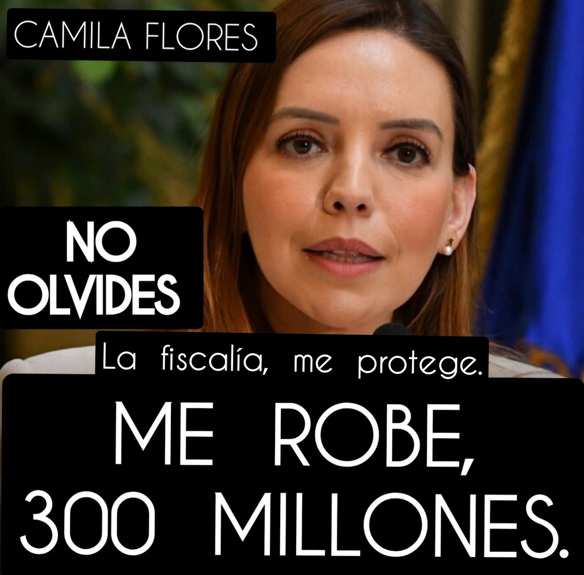 Ricsepul's tweet photo. Mientras tanto SIGUE VOTANDO leyes en el PARLAMENTO https://t.co/c5N4ulTli1
