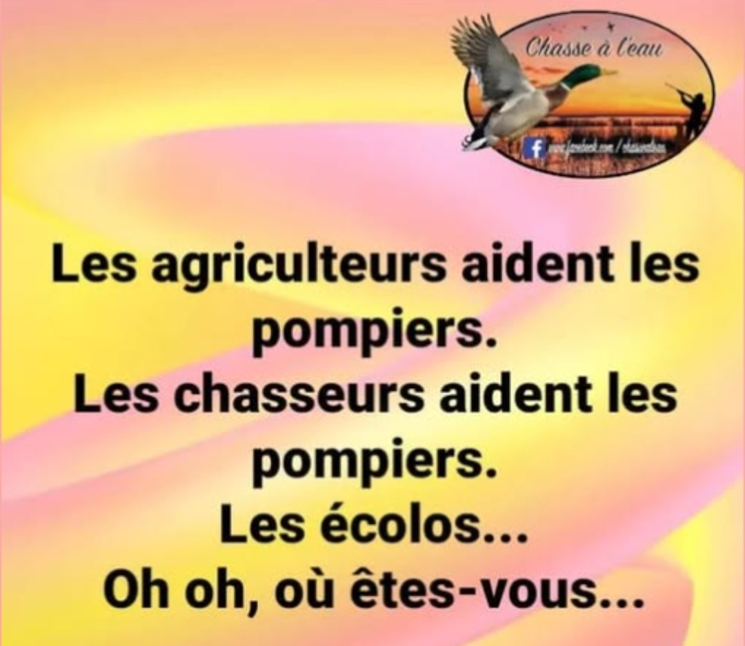 Lione80918's tweet photo. @FredGaulois Mais où sont les écologistes ? https://t.co/EaS59UoDnx