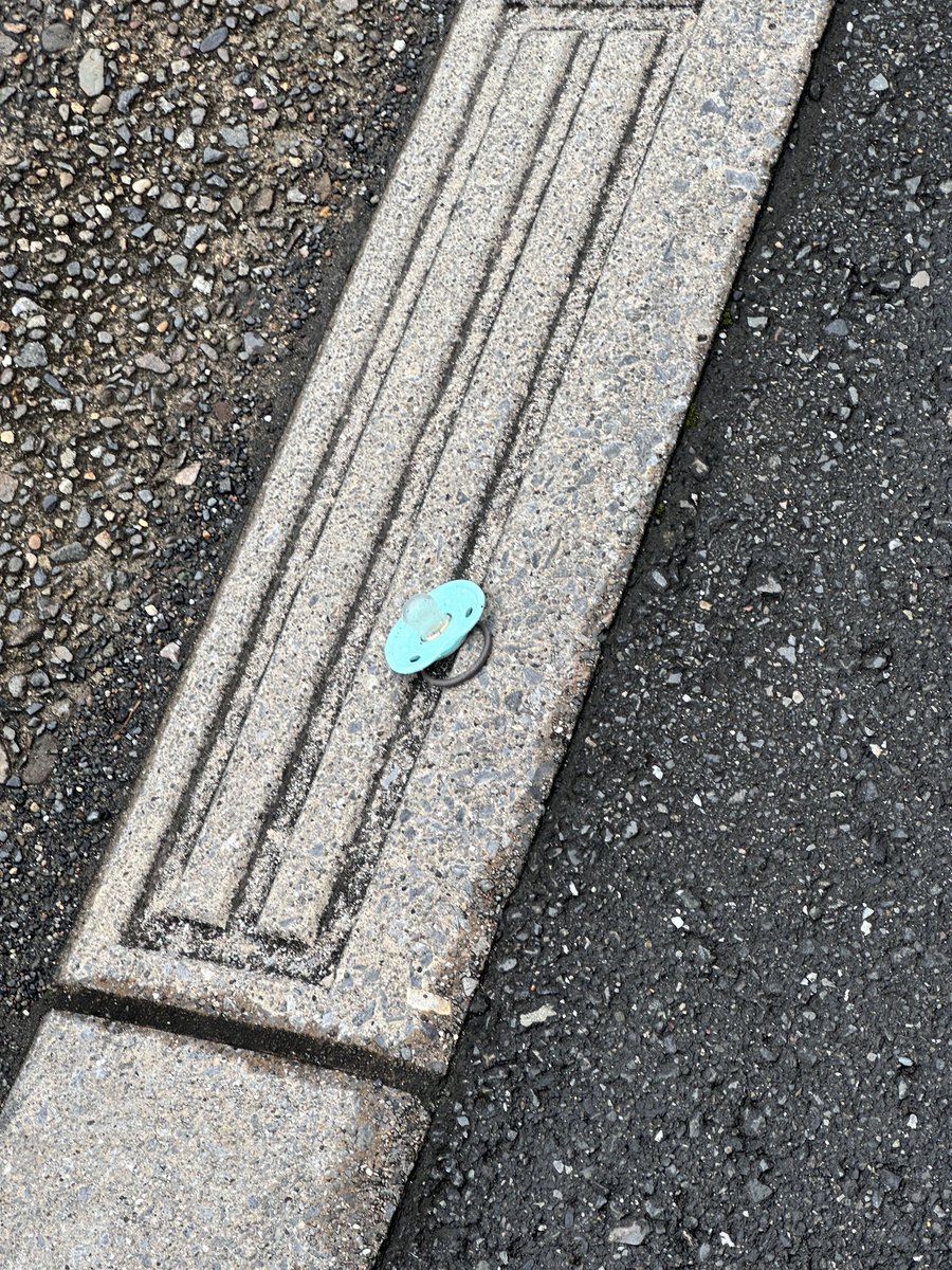 kokeraotsu's tweet photo. 道端に "成長" が落ちてた https://t.co/qgf7mBTtTk
