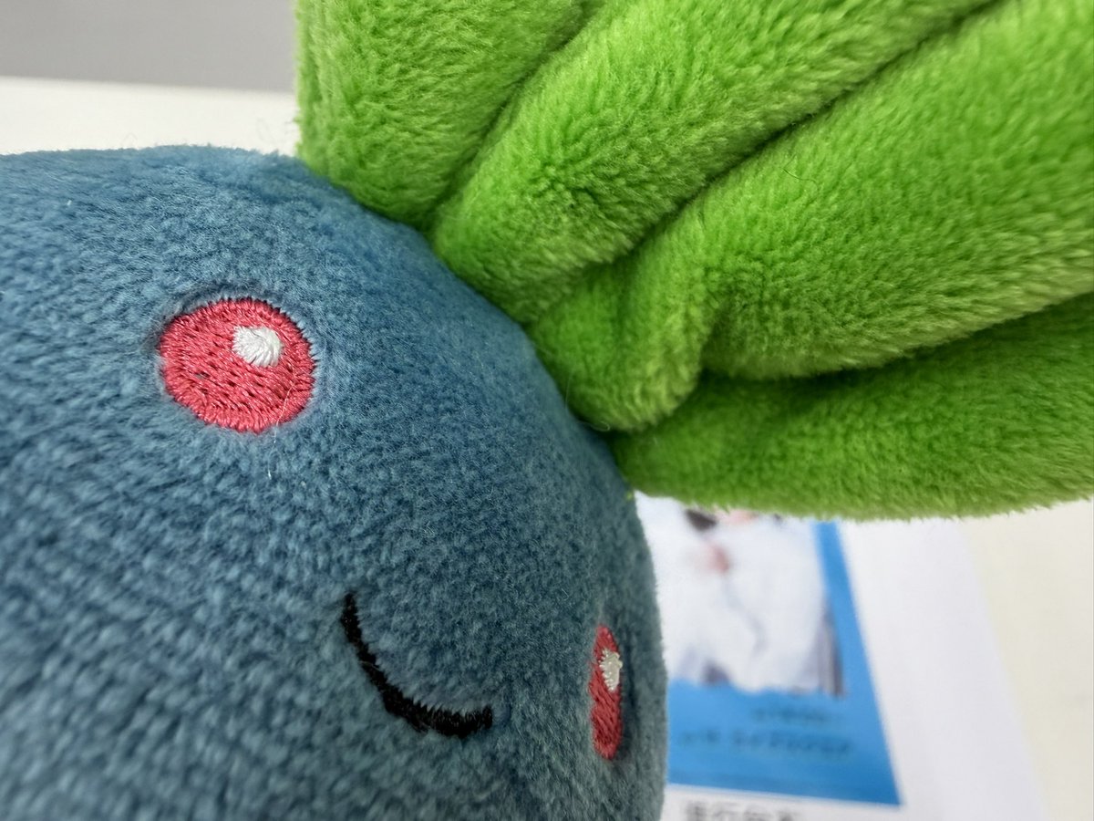 _kuroki_honoka's tweet photo. 新利府のイオンモールでのトークショー、ありがとうございました✨
みなさまのお顔が見られてよかったー！
典子の魅力と仙台の魅力が対決していましたね！！！！！！！！！！

今回の旅のお供はナゾノクサのナゾちゃんです🌱ずんだ餅カラ〜🫛 https://t.co/on1zjgl8Ce