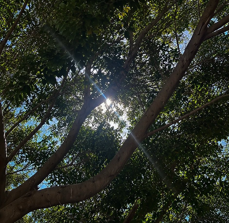 UnsenExistence's tweet photo. اجتماعٌ بديعٌ // يا لهُ من مزيجٍ مُدهش ☀️❣️🍊> https://t.co/w6YpZLSpBt