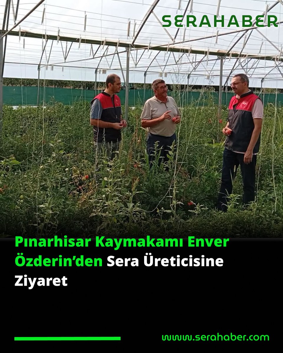 Sera_Haber's tweet photo. Pınarhisar Kaymakamı Enver Özderin’den Sera Üreticisine Ziyaret
https://t.co/xzaPNNUOzC
Haberin detaylarına https://t.co/AYvj8s3sWQ dan ulaşabilirsiniz #seratarım
#Pınarhisar #SeraÜreticiliği #ÖrtüAltıÜretim #Kırklareli #Tarım https://t.co/dV8ZJkqEvG