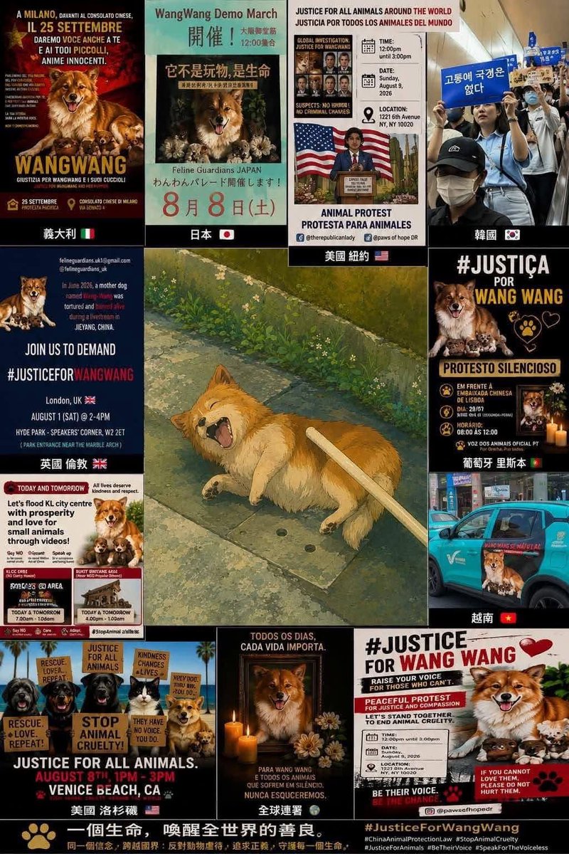 HaChi tweet media