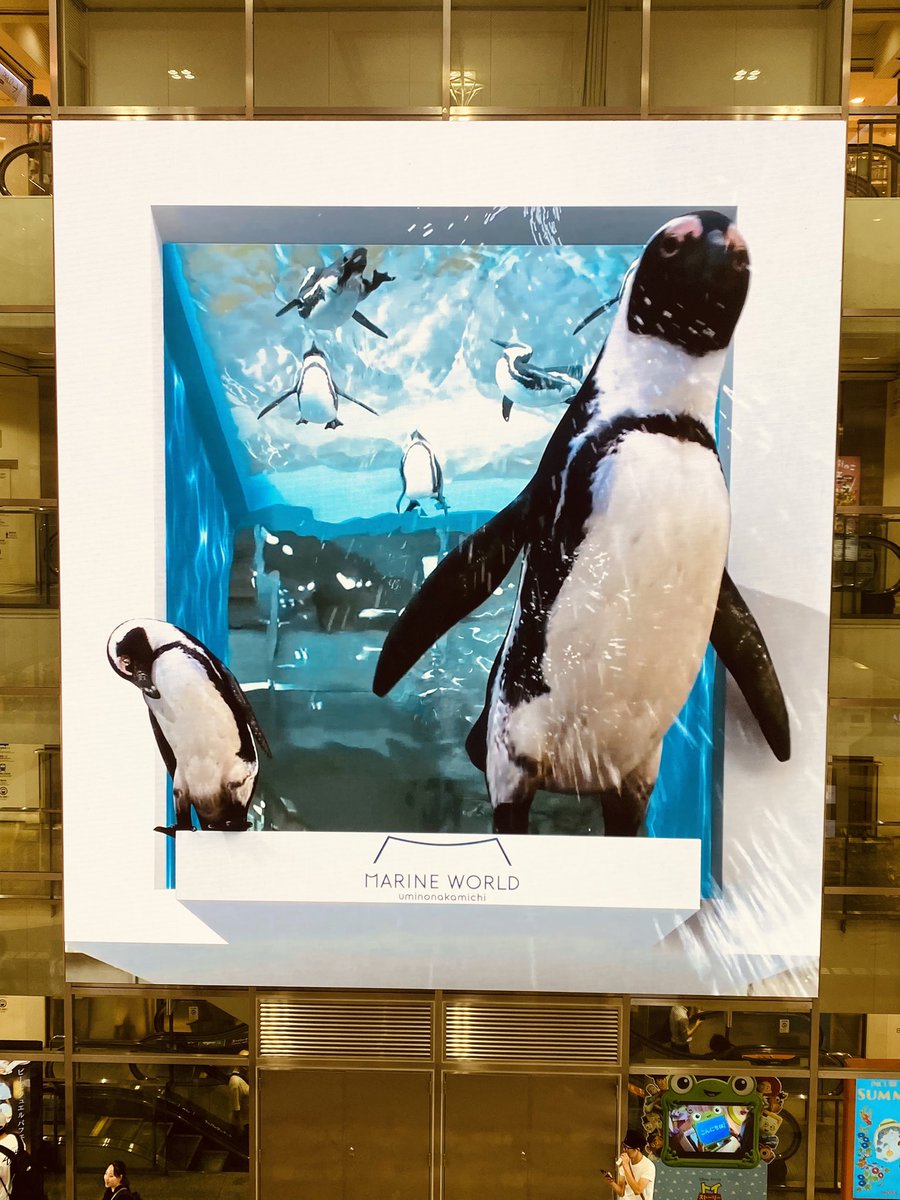 _piko6169's tweet photo. あと🐧も居た！ https://t.co/miGIYyICnP