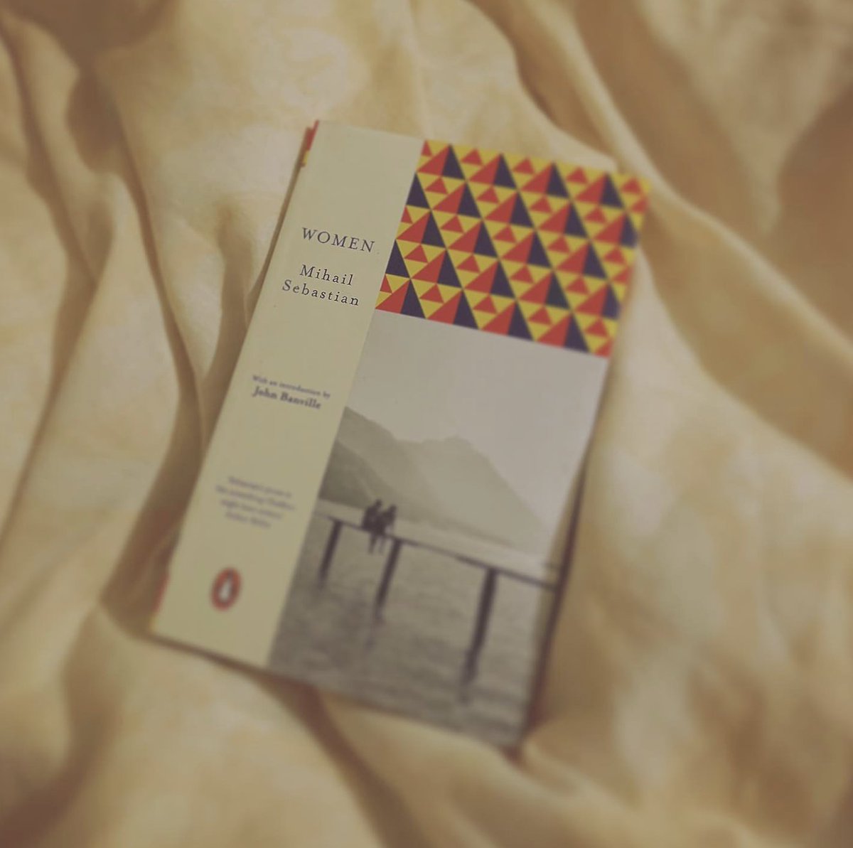 AnnieWithBooks's tweet photo. "It terrifies me to think that something can be completely obliterated, that a thing or a person or a feeling or even just something familiar can disappear overnight."
- Women by Mihail Sebastian
***
#bookquotes
#booktwitter
#booktwt
#modernclassics https://t.co/Q4vm7Iba34