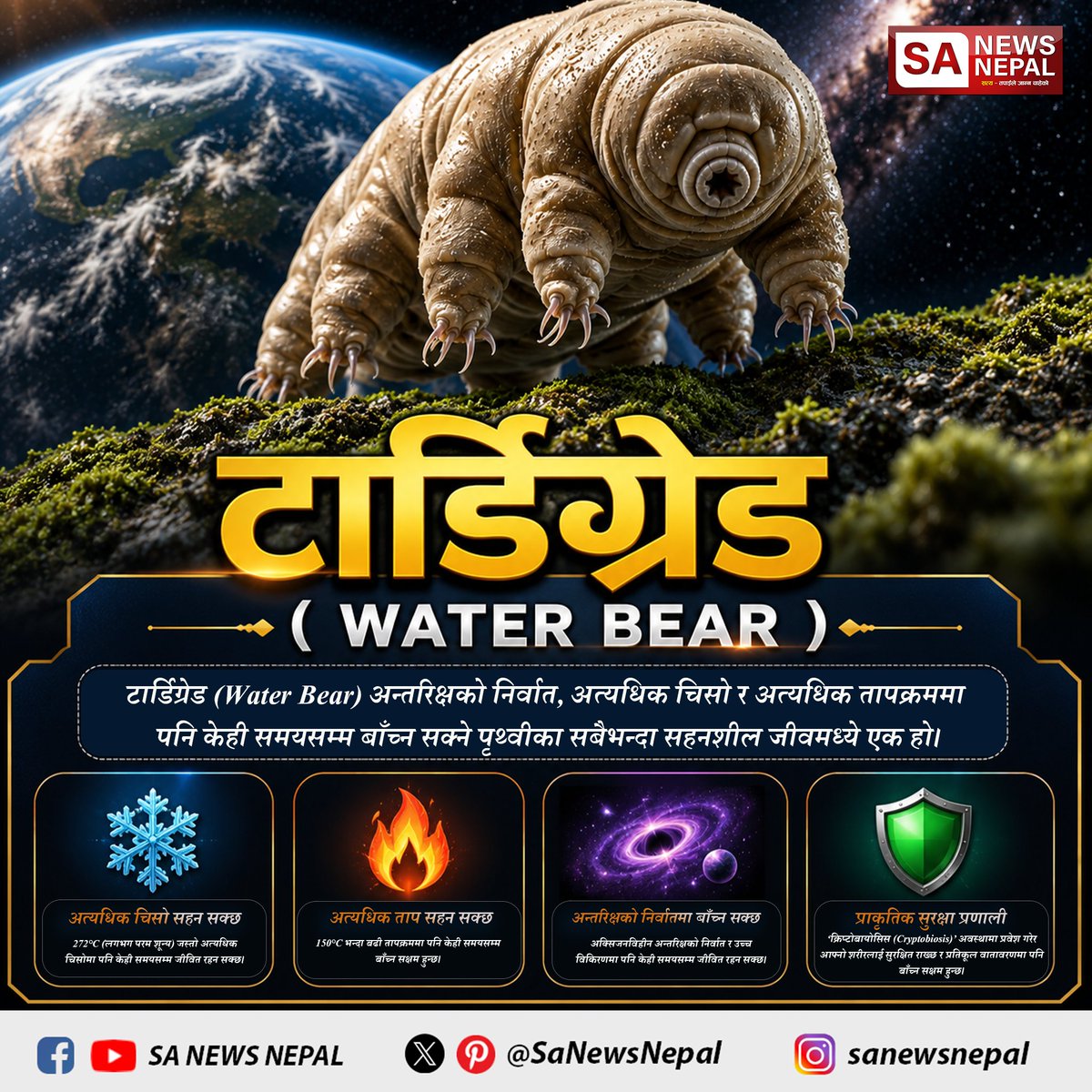 SaNewsNepal's tweet photo. टार्डिग्रेड (Water Bear) अन्तरिक्षको निर्वात, अत्यधिक चिसो र अत्यधिक तापक्रममा पनि केही समयसम्म बाँच्न सक्ने पृथ्वीका सबैभन्दा सहनशील जीवमध्ये एक हो। SA NEWS NEPAL
#HiddenTruth #AnimalFacts #Tardigrade #WaterBear #ScienceFacts #AmazingNature #WildlifeFacts #SpaceLife #naturelover https://t.co/KyVuVPhvew