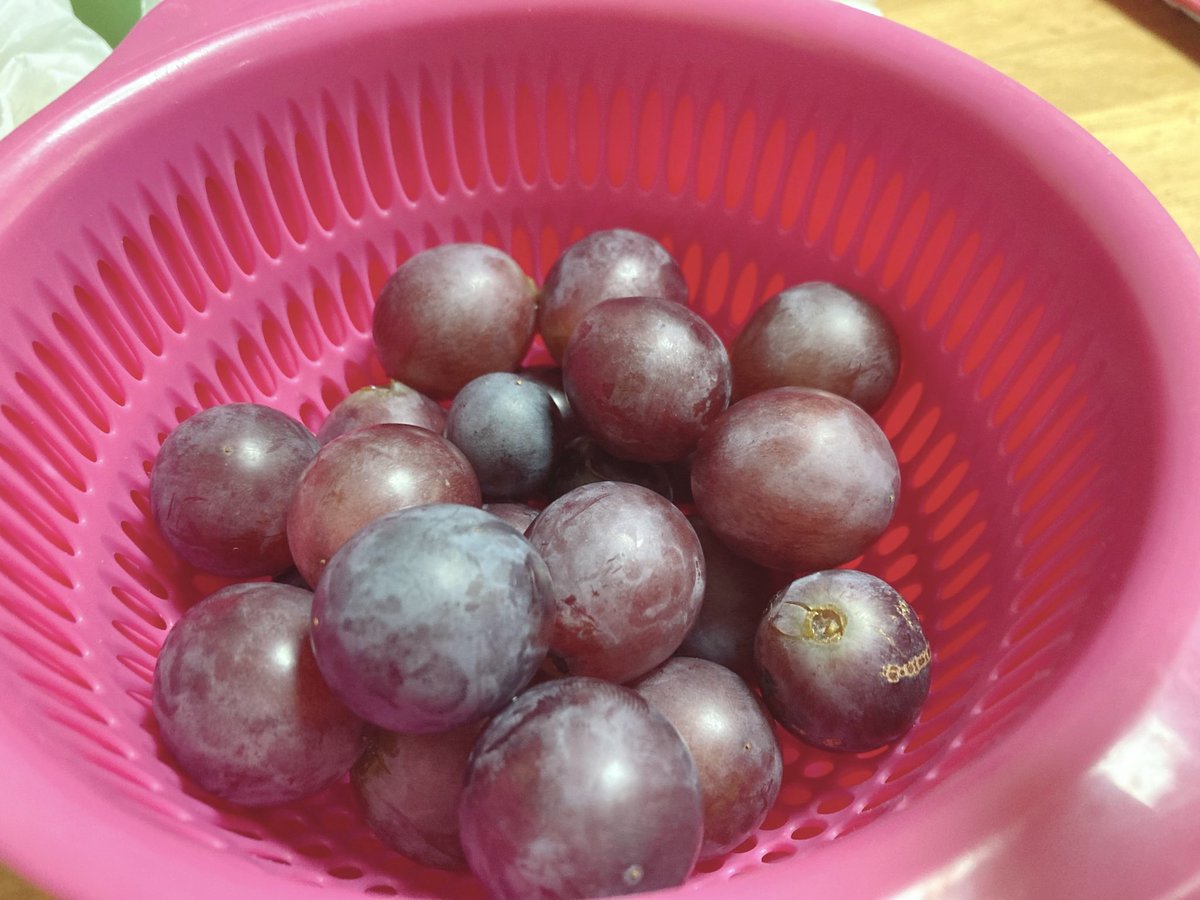Juralumin728's tweet photo. ブドウうめうめ🍇 https://t.co/EYqGeRSANd