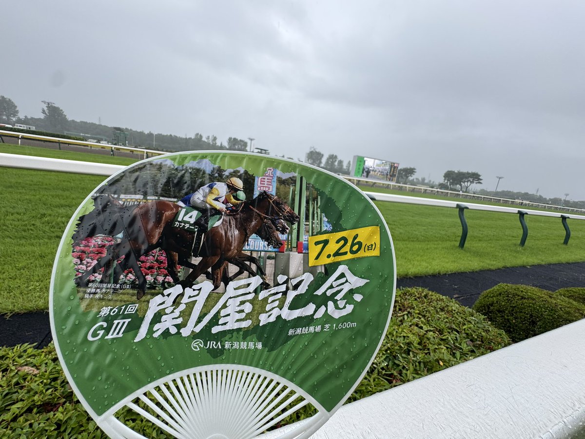 Murisunaiden's tweet photo. 関屋記念はランスオブカオス(12)軸の3連複を買ってたけれど見せ場すらなく外れ…（ ; ; ）

でも初めて観た中央重賞めっちゃ楽しかった！٩(^‿^)۶ https://t.co/Zswxx72Ut8