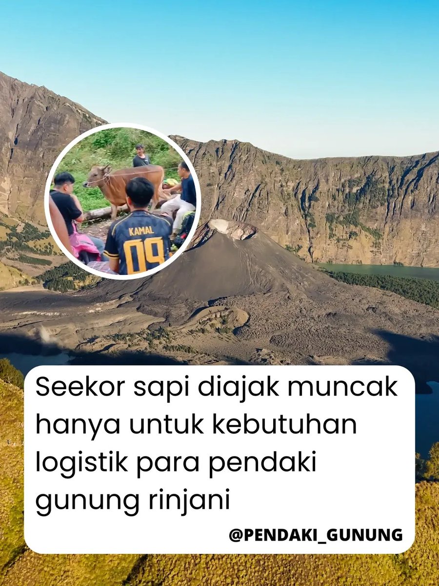 Sumatera Adil & Federal tweet media