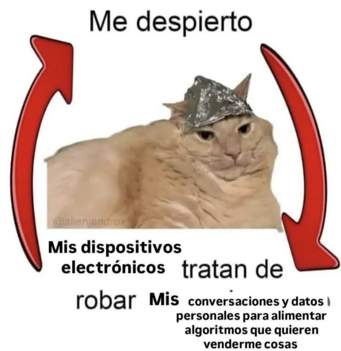skereunpesado's tweet photo. buenos días https://t.co/Tj7WNQw8mS