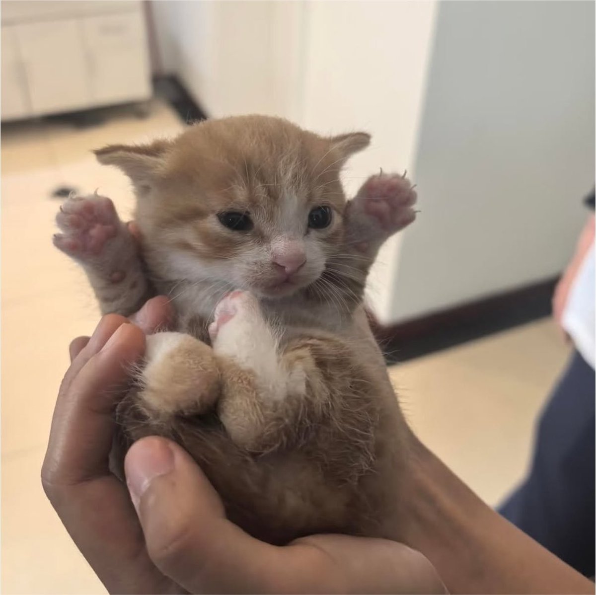 catxrzl7a's tweet photo. https://t.co/YxmWMKhmrW
