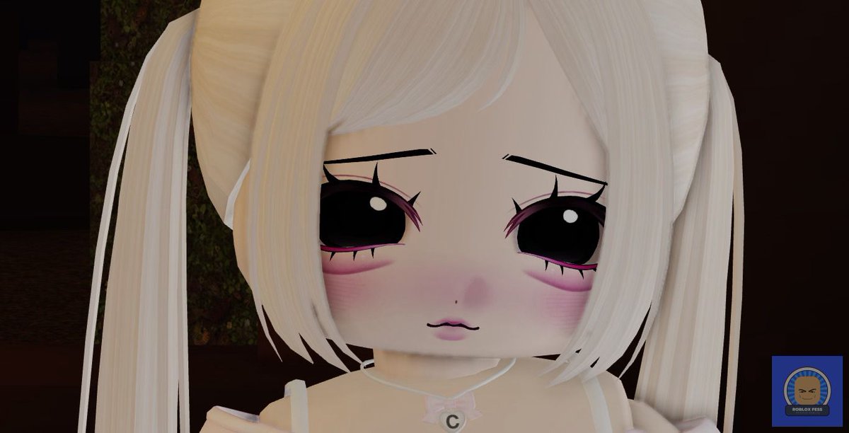 Roblox Fess tweet media