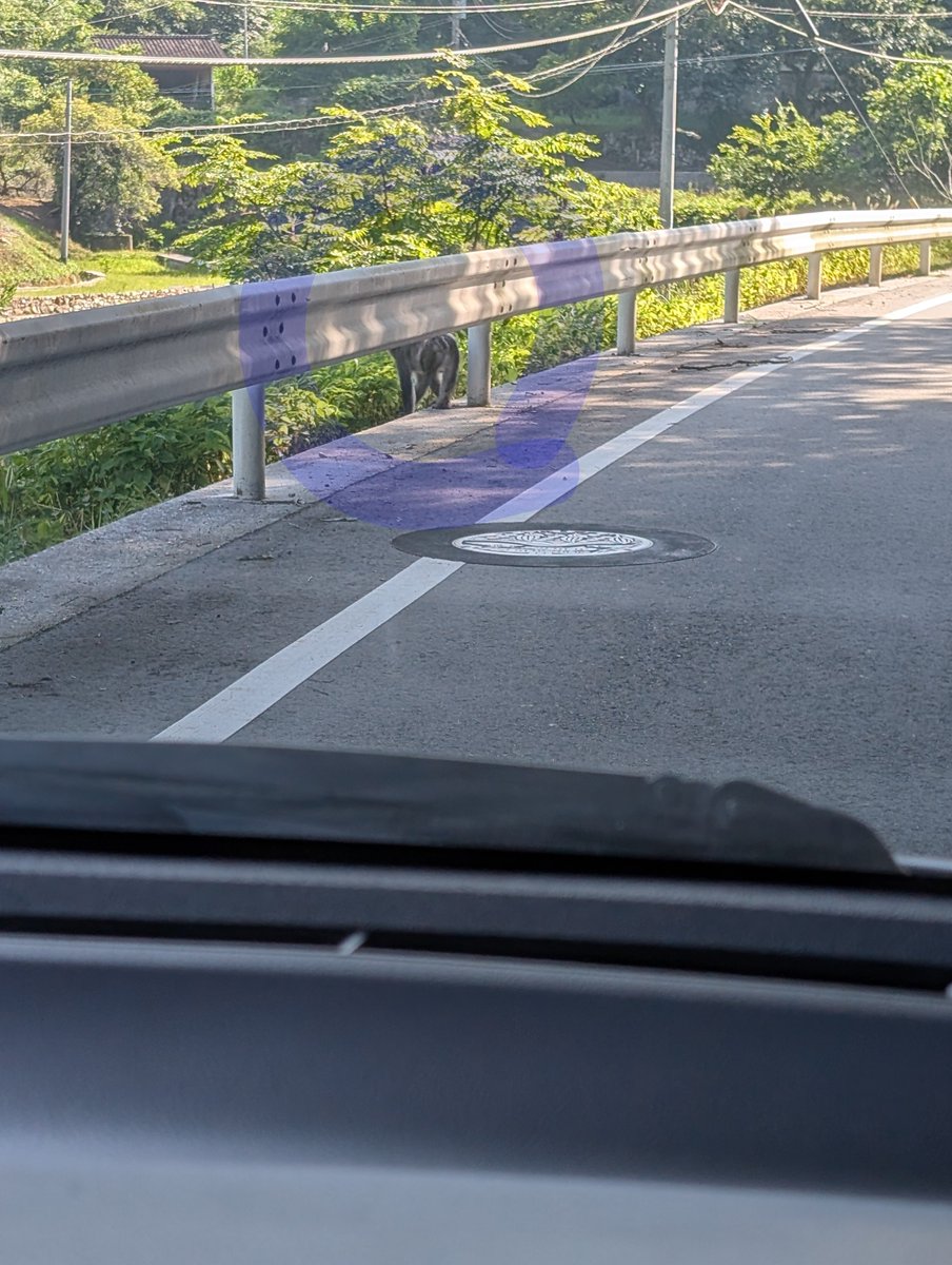 tetsu_311005's tweet photo. 新見市内から山越えして実家に戻る途中車の前をお猿さんが横切った🐒 https://t.co/SZJ1a9kpjp