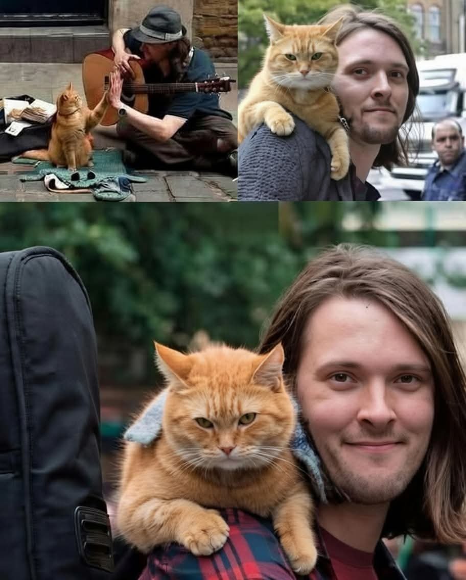 WolfofX's tweet photo. In 2007, James Bowen was living in supported housing in North London after years of homelessness and heroin addiction. He was busking on the streets and trying to get through one day at a time when he noticed an injured ginger cat sitting alone in the hallway of his building.

The cat had a badly infected leg. James barely had enough money to look after himself, yet he spent almost everything he had, around 30 US dollars, on veterinary treatment and antibiotics. He named the cat Bob.

James thought Bob would leave once he recovered. He never did.

Bob followed him onto buses, sat beside him while he played music in Covent Garden, and quietly became part of his everyday life. People stopped to watch the man with the ginger cat on his shoulder. They listened to his music. They bought copies of The Big Issue. For the first time in years, life started moving in a different direction.

James later said, "He came along and asked for my help, and he gave me more than I ever gave him."

Their friendship became the bestselling A Street Cat Named Bob series, selling millions of copies around the world and inspiring two films. What began with a wounded stray in a hallway became a story that reached readers in dozens of languages and reminded millions that compassion can change more than one life.