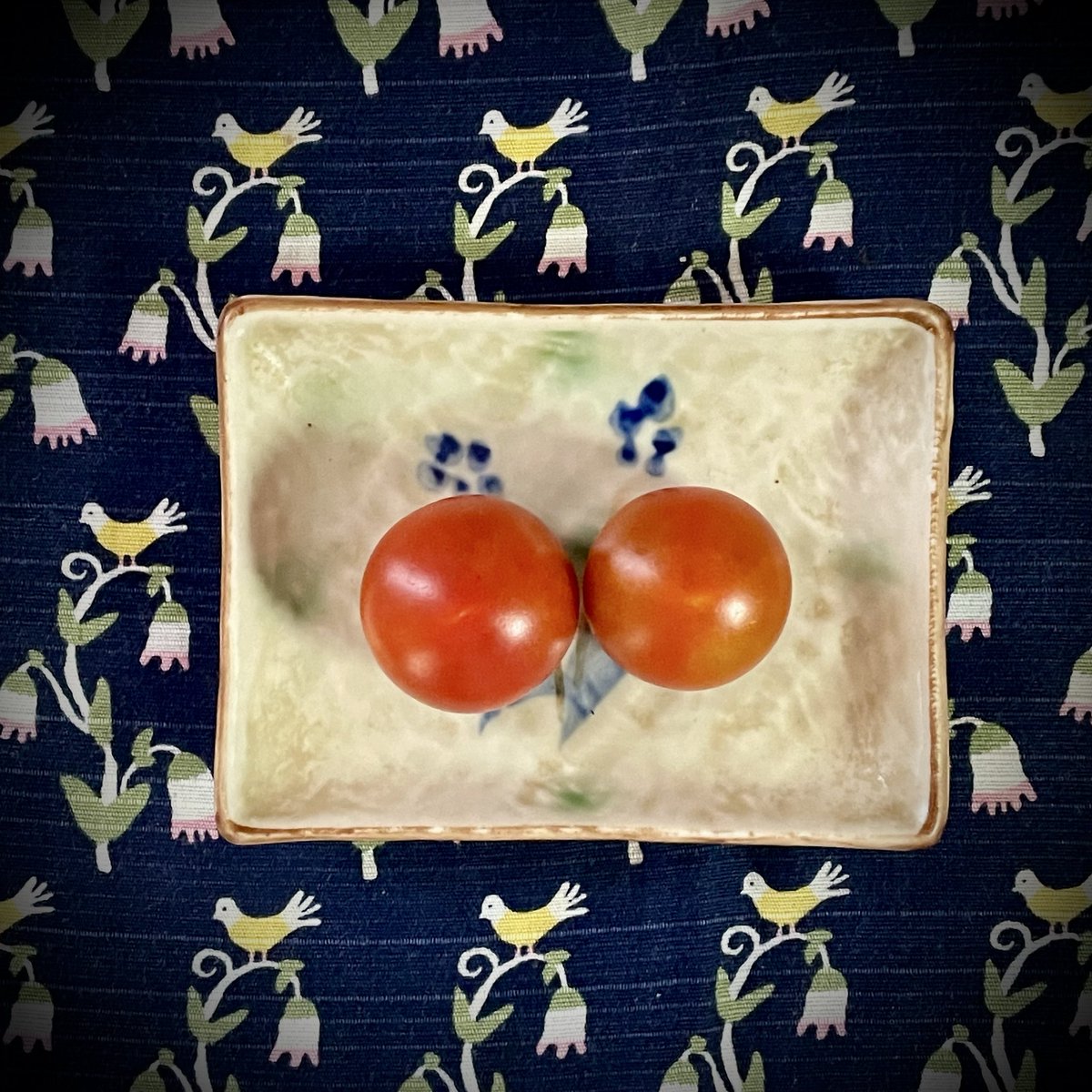 aran_inform's tweet photo. 今日は聖テレーズ合唱団の練習日。
夏の間は暑さへのお心遣いをいただき、午前中からの練習です✴︎

練習に向かう前にお庭仕事にて、トマト初収穫しましたよ🍅
つやつやでまるまるでかわいい。

課題は山積み。
落ち込みも言い訳もいらぬ。
練習あるのみ。 https://t.co/NeNYX6PL1d