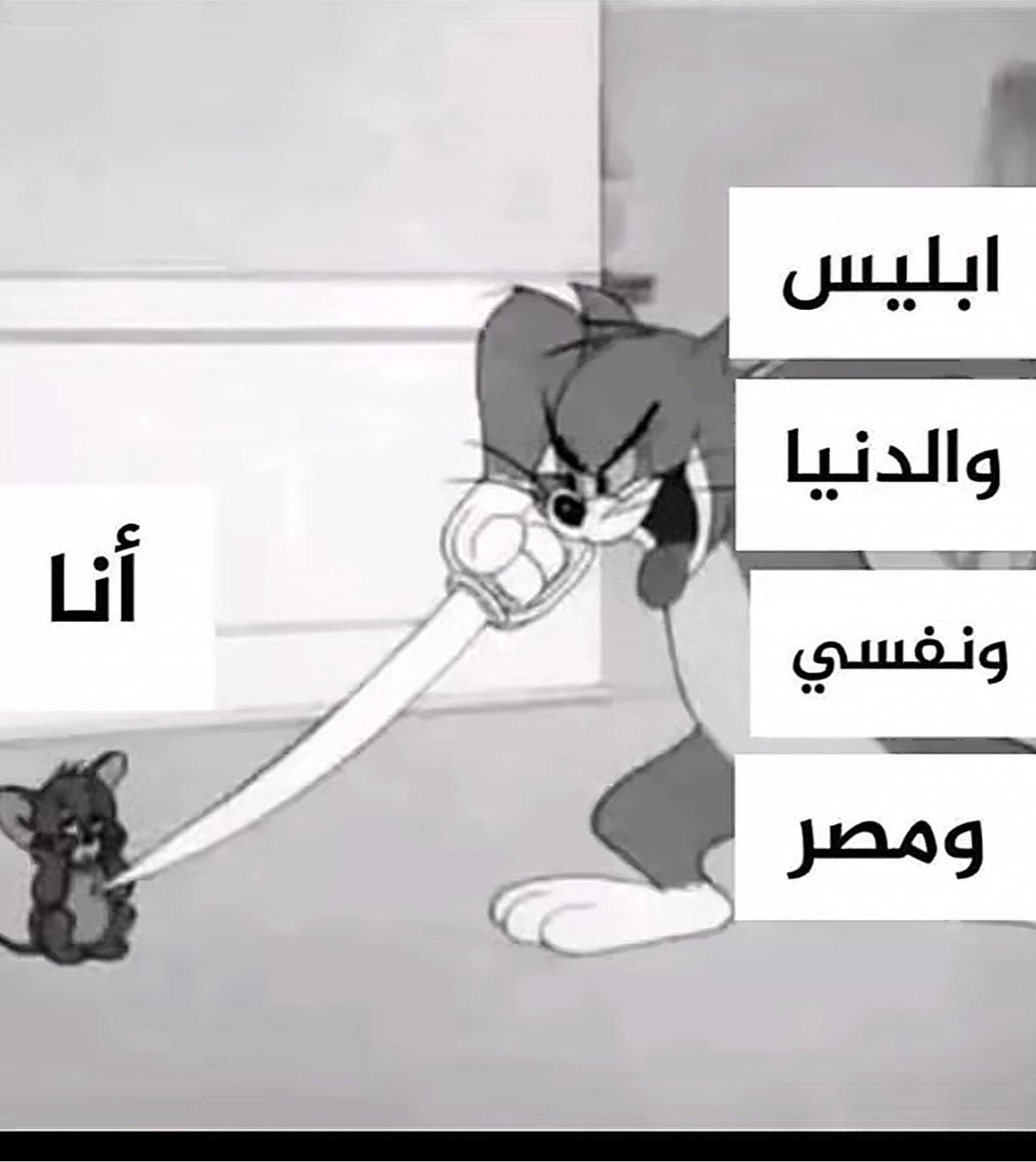 مارلين مانجو 🥭 tweet media