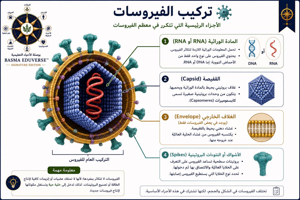 B_Touchh's tweet photo. #الرخصة_المهنية_احياء https://t.co/llZ1g3KqQ6