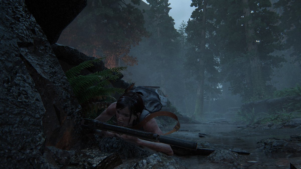 MNewport949's tweet photo. Ellie in action https://t.co/dYfivlqoLb