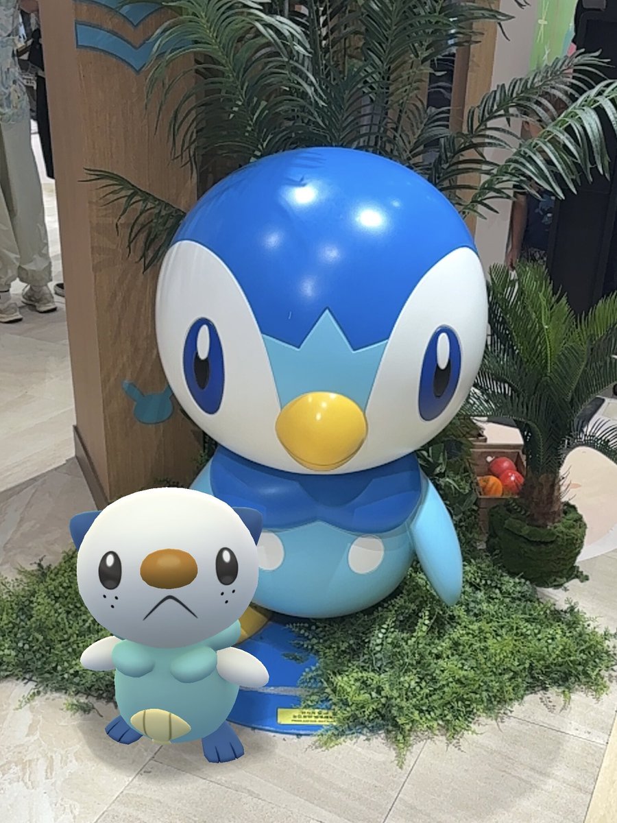 챠코 tweet media