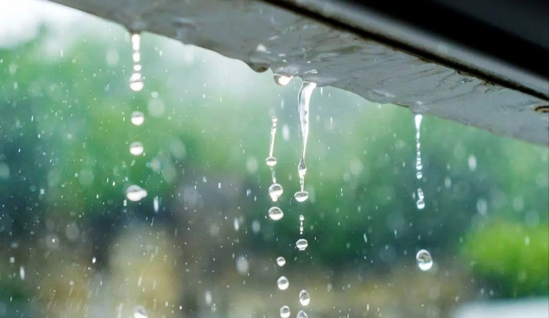 AVPC_Girona's tweet photo. El @meteocat ha emès un comunicat de perill per Intensitat de Pluja al #Gironès per aquest diumenge entre les 14 h. i les 20 h. de la tarda. 

🟡 Grau de perill 2/6: Mitjana Probabilitat Intensitat > 20 l/m2 en 30 min. https://t.co/zQi1XFHlRU