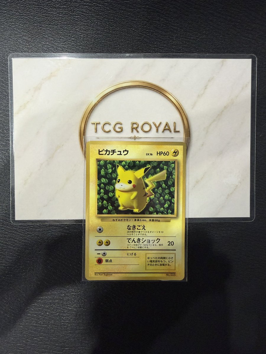 tcg_royal's tweet photo. Logan — we’ve got what you’re looking for.
Visit us in Shinjuku, Tokyo🇯🇵 https://t.co/BPEQm7JiRc