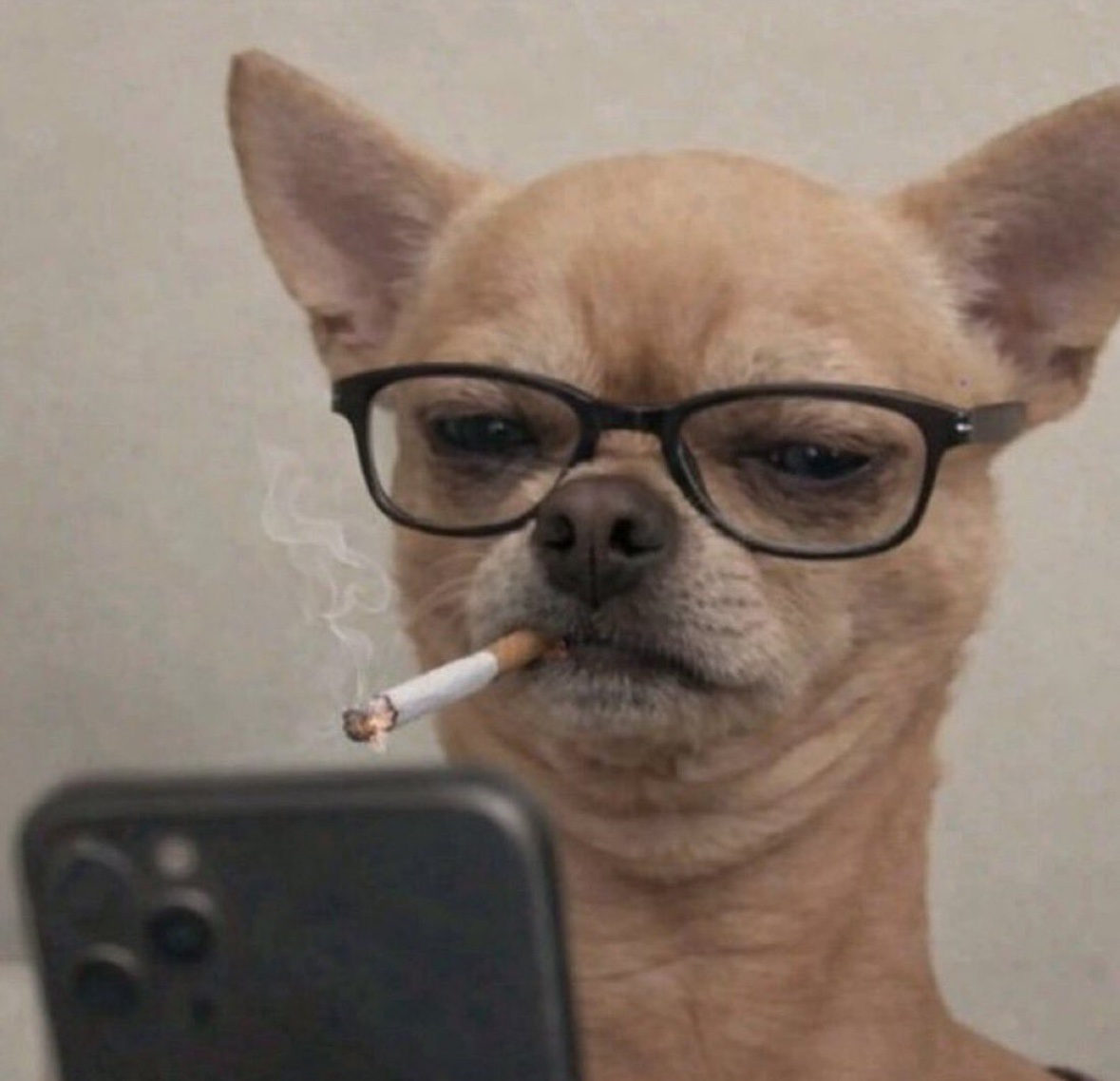 ƶërø🪖 tweet media