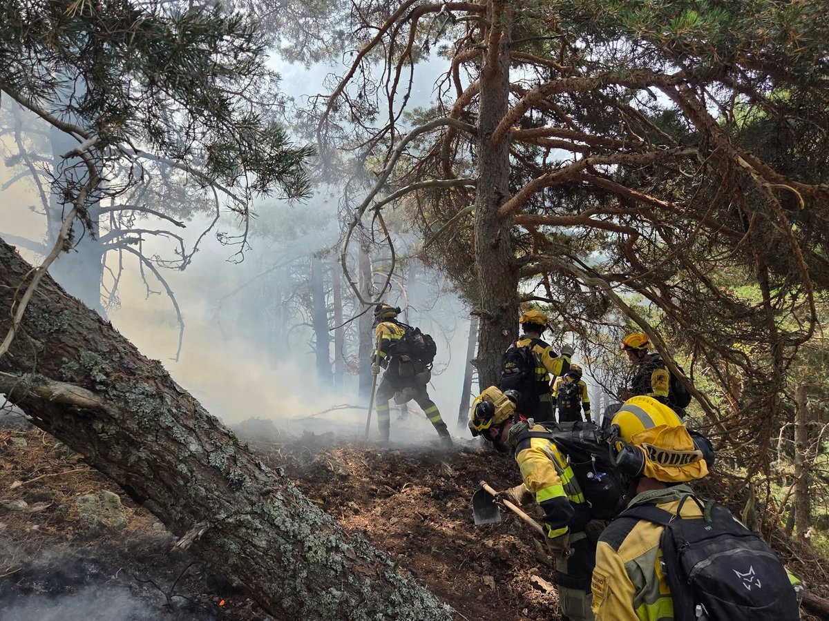 arboles_magicos's tweet photo. Cada vez que España arde, nace una nueva generación de expertos en incendios forestales.

Este verano ya he leído la solución definitiva unas cien veces.

"Hay que cambiar la Ley de Montes."

"Hay que meter ganado."

"Hay que desbrozar."

"Hay que sacar la leña."

"Hay que repoblar los pueblos."

Siempre el mismo esquema: un verbo. Una ocurrencia. Y ni una sola respuesta a la pregunta más importante: ¿cómo?

¿Quién va a cuidar ese ganado?

¿Quién va a desbrozar millones de hectáreas todos los años?

¿Quién va a vivir de la leña?

¿Quién va a mudarse a un pueblo para hacer qué?

Yo, desde luego, no tengo la desfachatez de resumir uno de los mayores desastres ambientales, económicos y humanos de España en un tuit. Desconfiaría profundamente de quien sí cree poder hacerlo.

Porque cuanto más conozco el monte, menos me atrevo a decir "la solución es...".

Curiosamente, quienes más seguros están de tenerla suelen ser quienes menos tienen que aplicarla el lunes por la mañana.

El monte no arde por falta de opiniones. Arde mientras sobran certezas y faltan respuestas.

Desde reputados catedráticos hasta todologos de sofá: aburrís soberanamente y no es un tema para aburrirse.

En cuanto a los bomberos forestales: GRACIAS DE TODO CORAZÓN. Sois los únicos que en momentos como estos estáis siempre a la altura.

📸 Uncas Lakota 🧑‍🚒 🚒 BRIF La Iglesuela.