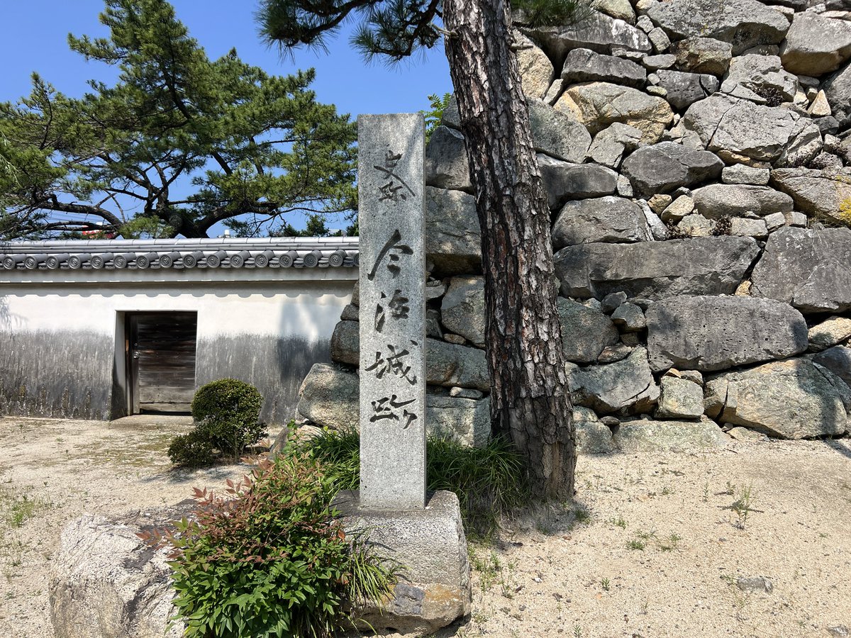 luckydonchan's tweet photo. 愛媛旅行
今治市街散策
今治城🏯
愛媛県の4大名城。松山城、大洲城、宇和島城、今治城の順番で登城。石垣の作りの違い、建造美、天守が高くそびえ立つ風格が素敵。 https://t.co/4z8EqVS4fY