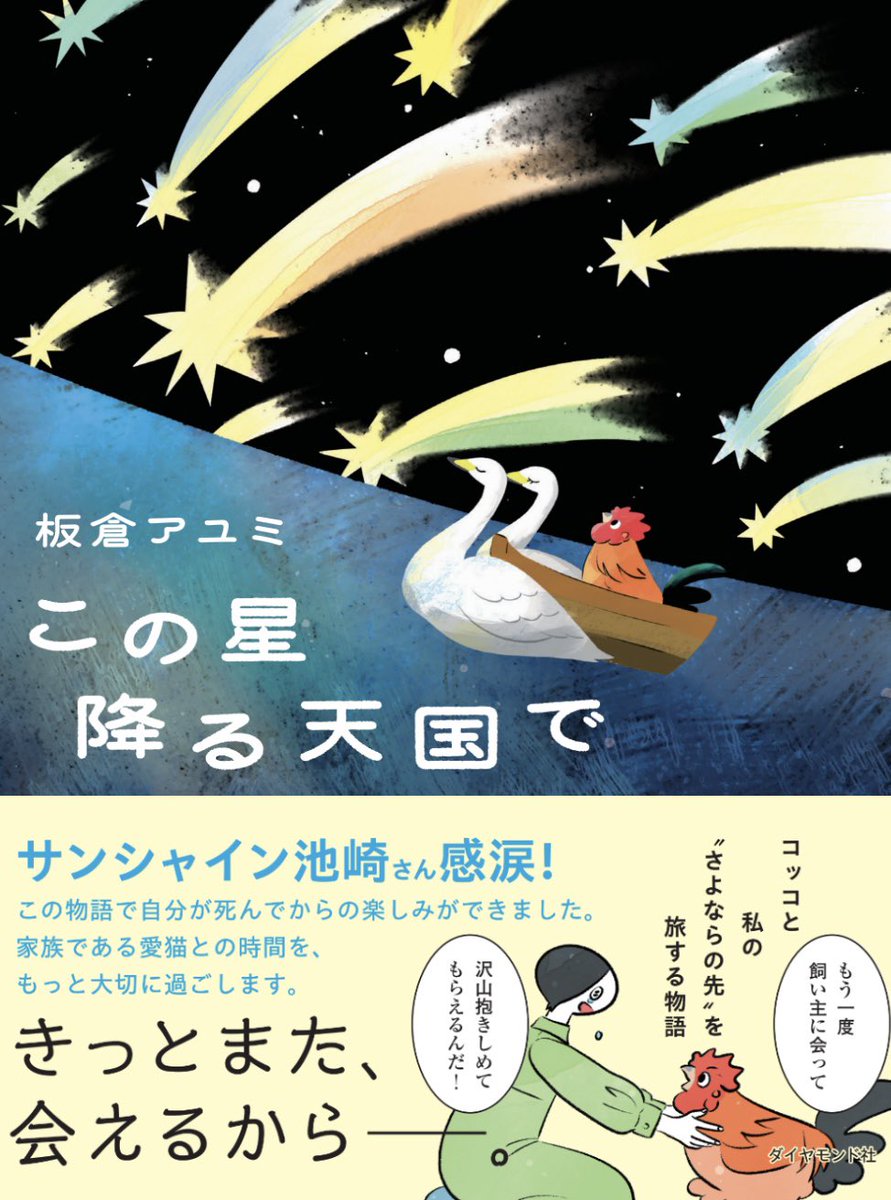 itakura_ayumi's tweet photo. 【お知らせ】
8月5日に愛鶏コッコの天国での物語が一冊の本となりダイヤモンド社より発売されます📕

帯にはなんとサンシャイン池崎さん(@ikezaki_YEAH )より素敵なコメントを寄せていただきました☀️🐈！

池崎さん、お忙しい中この物語を読んで温かい言葉をくださり本当にありがとうございました😭 https://t.co/pjsVv6VnWr