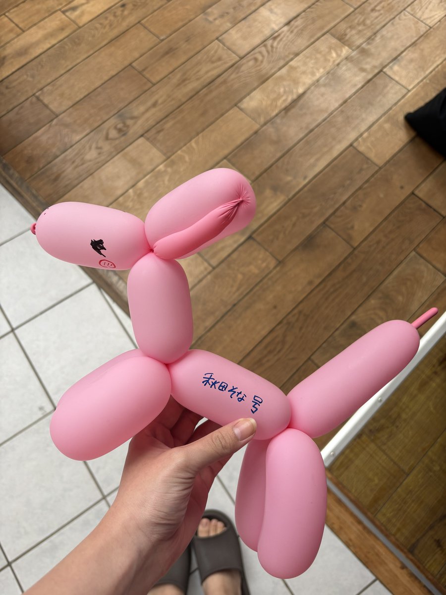 秋田そな🦥 tweet media