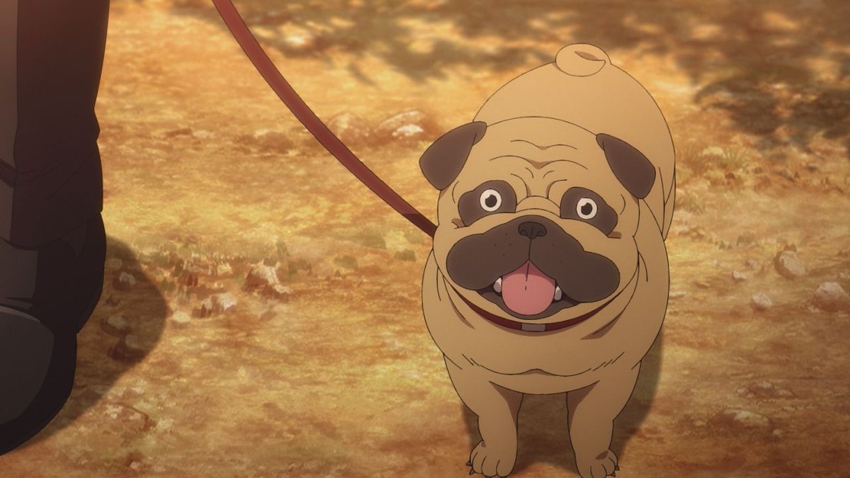 pug3ta's tweet photo. パグが出るということで「黄泉のツガイ」ってアニメをみてた。
ﾊｯﾊｯ言うてる。パグの何たるかをよくわかってる。
「ワン」じゃない。「ﾌﾞｰﾌﾞｰ」か「ｶﾞﾊｶﾞﾊ」です。
パグは生物学上イヌに分類されるが、僕の中ではイヌではなく、「パグ」という独自の生き物にカテゴライズされている。 https://t.co/BMhnFuTOl4