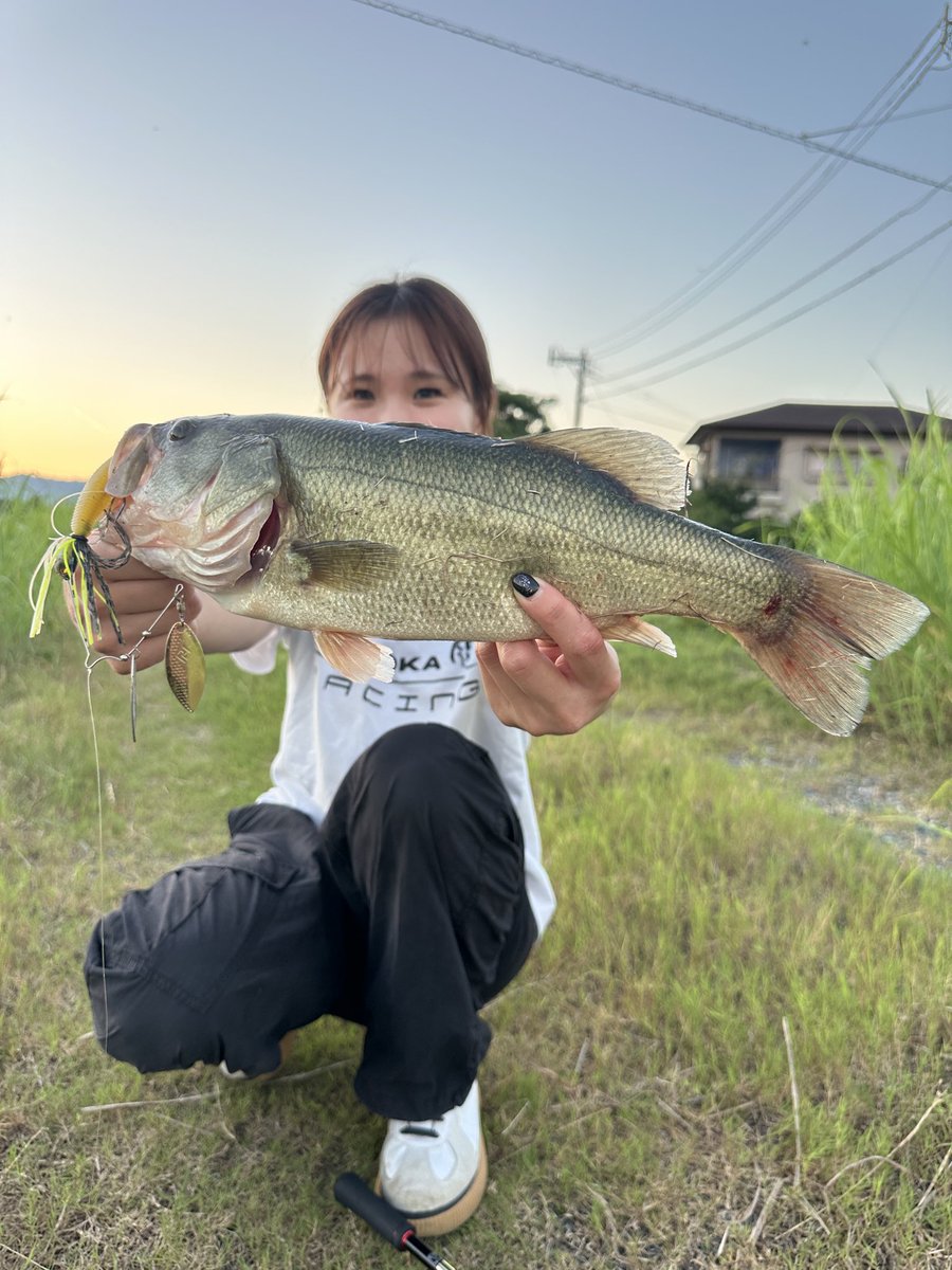 sakigolf051's tweet photo. 仕事終わって１時間🕒

3匹釣れて3匹バレた🎣 https://t.co/uVtnhOSKT1