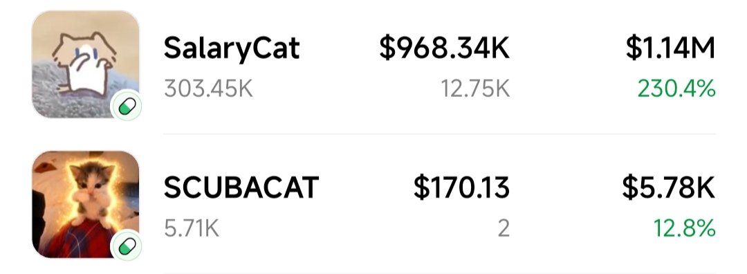 C_WolfHost's tweet photo. salarycat and scubacat π
#Salarycat 1.2 m
GiRrLzdan5Gz31ngH4zgxk6ybYaryNVCSLdAJyn1pump
#Scubacat 6 k
HbwS7e6sVUCZXM5a8oetE2TFFYePBVD4GgLH7vvEpump https://t.co/QHIfve5ULI