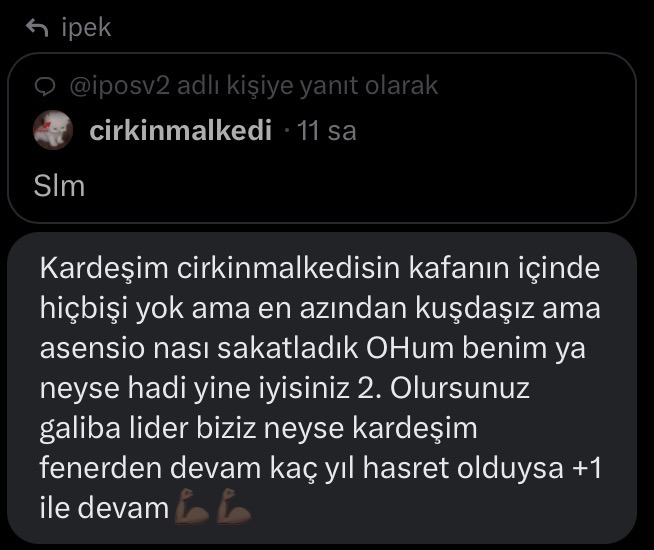 ipek tweet media