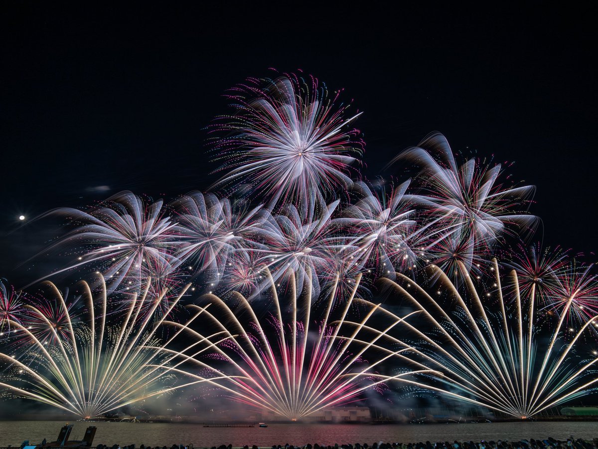 F🎇(絶賛就活中) tweet media