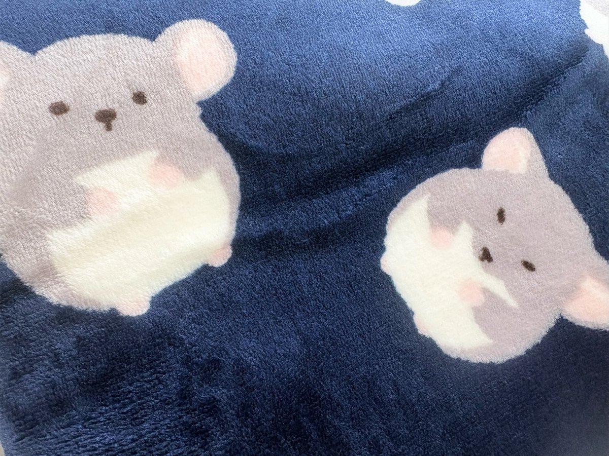 メーメントヴァニタス👁️‍🗨️🗝️ / MEMENTOVANITAS tweet media