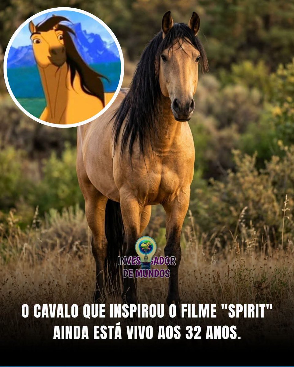 FiguranteNV21's tweet photo. Brabo demais. https://t.co/nMSNUbdWmq