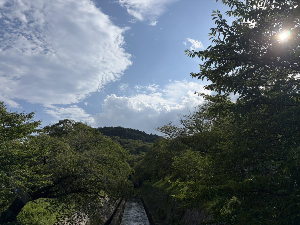 serechi27's tweet photo. #アナミュー 
土山さん、皆さん
こんにちは😃

毎日暑い日が続きますね🥵
7月も今週で終わり

8月に入ってもあまり気温下がらないみたいですね😅

今夜も熱帯夜グッドミュージック楽しみます📻😊 https://t.co/XmYHy5iTGi
