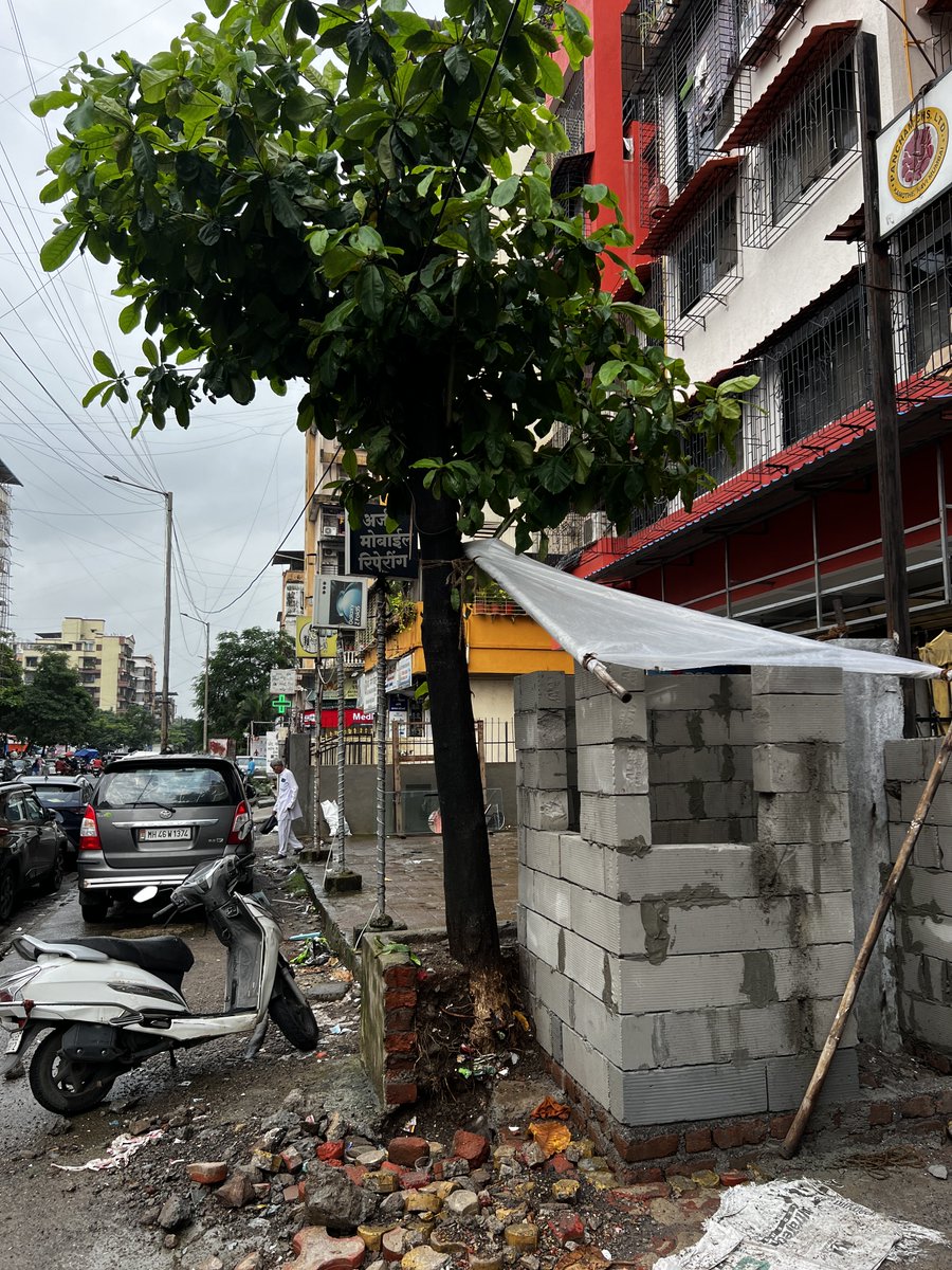 TrigunAmit's tweet photo. Tree uprooted to build a security room for building society in Sector 20, Kamothe #savethetrees #saveplanet https://t.co/oG4LYS8VF1