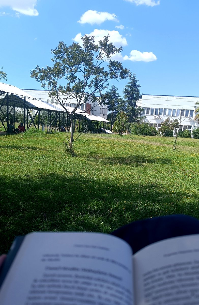 muwnise's tweet photo. gördüğümüzde özenip içinde bulunduğumuzda güzelliğinin farkında olmadığımız anlardan bi lahzâ.. https://t.co/xcXSZ4ztlq